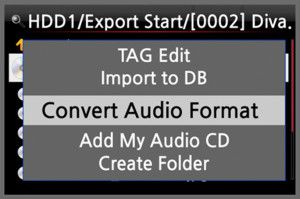 Convert Audio Format